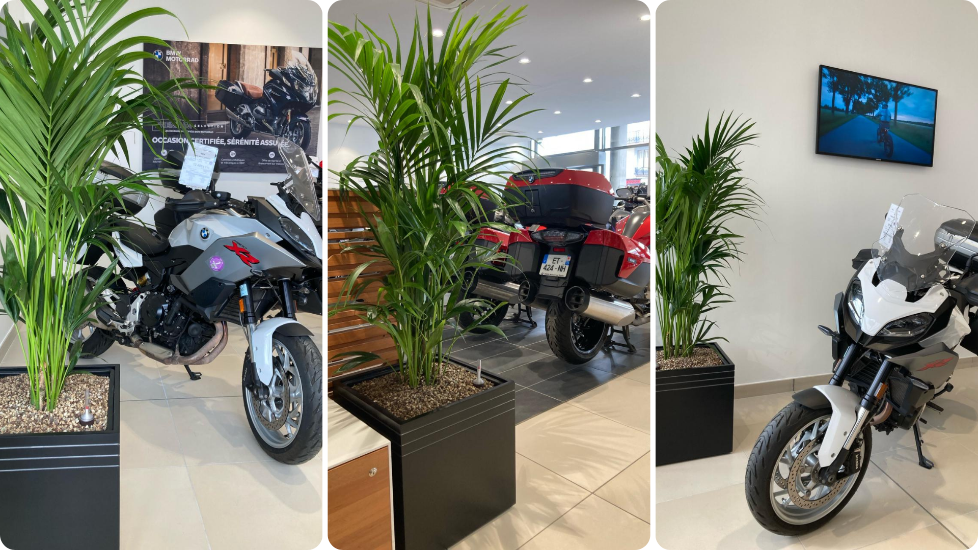 Vegetalisation Concession Moto Bmw Courbevoie