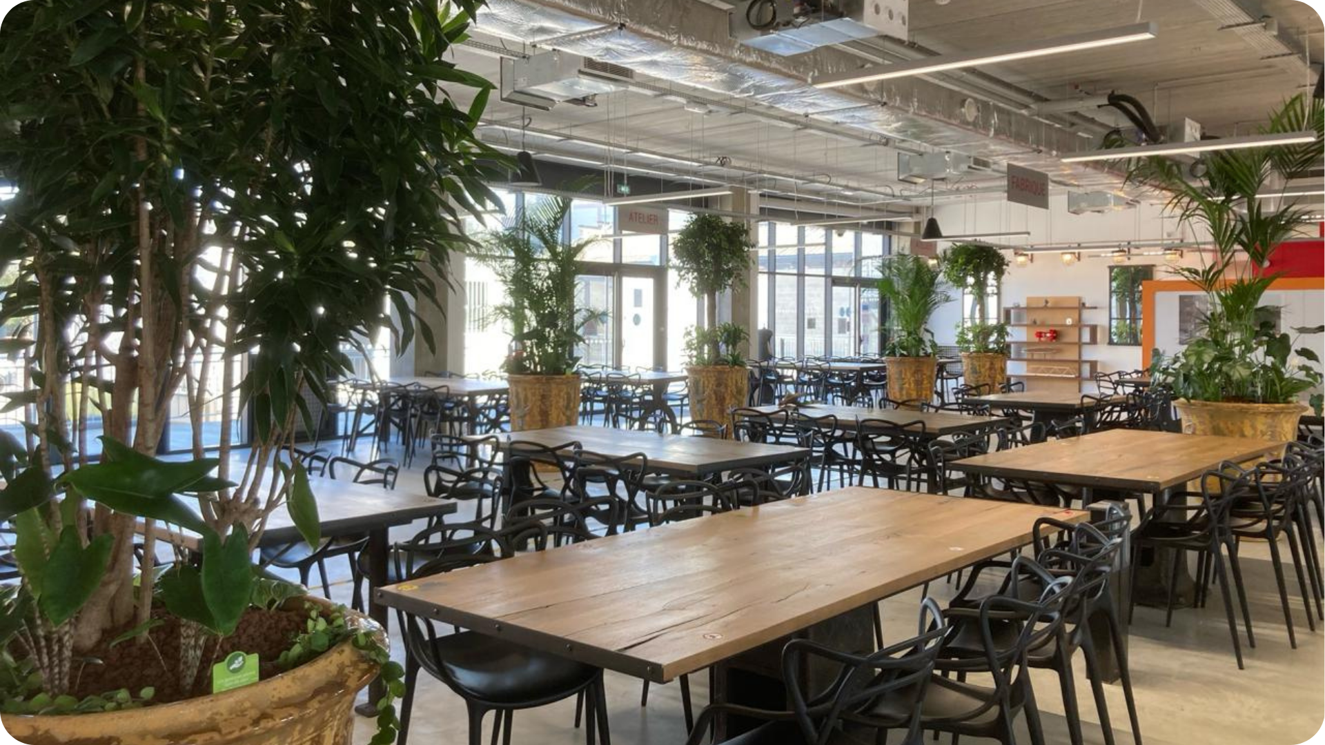 Végétalisation d'un espace de restauration Nanterre