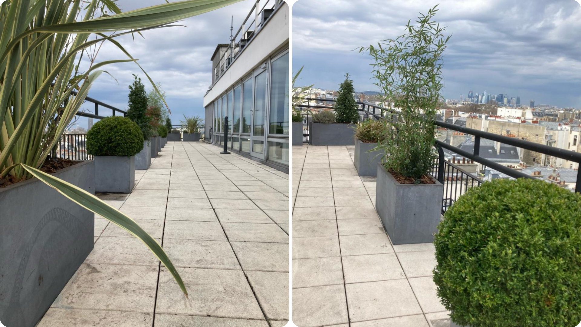 Amenagement Terrasse Entreprise Paris Plantes Naturelles