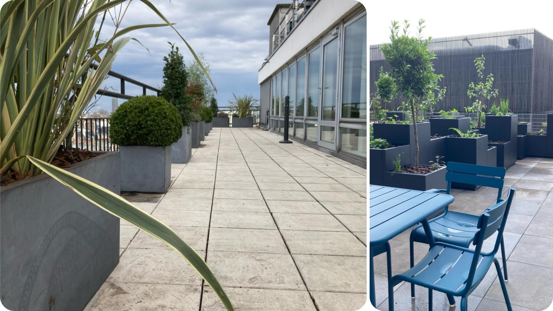 Location Plantes Naturelles Terrasse Entreprise