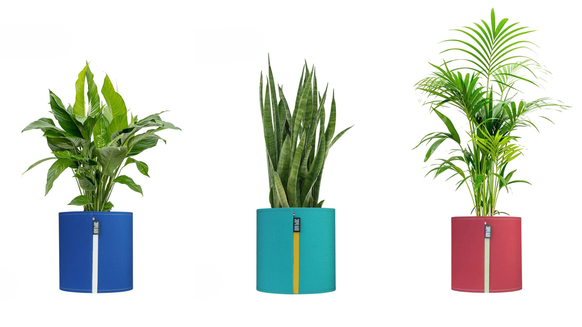 Pots Ecoresponsables Plantes