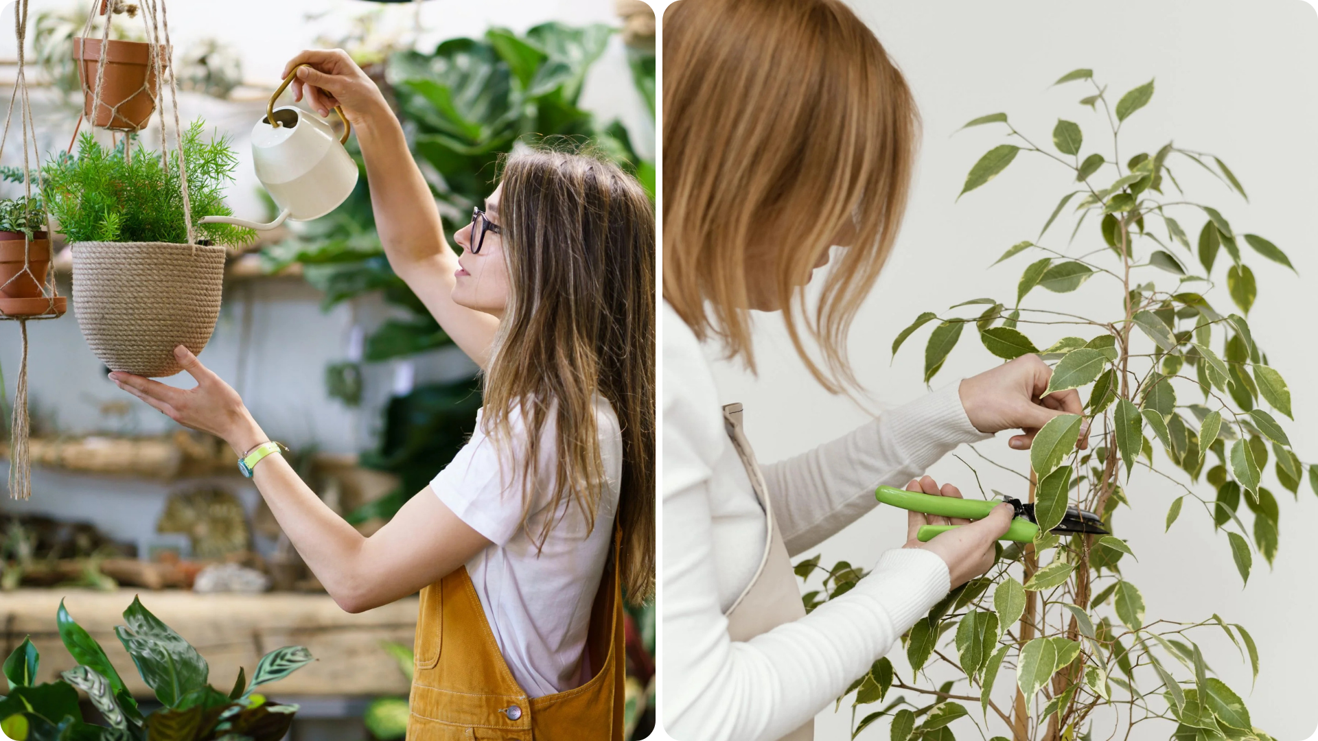 Le Campus Hortithèque Naturapôle de Fauville-en-Caux propose une nouvelle formation sur les techniques professionnelles du paysagisme d’intérieu