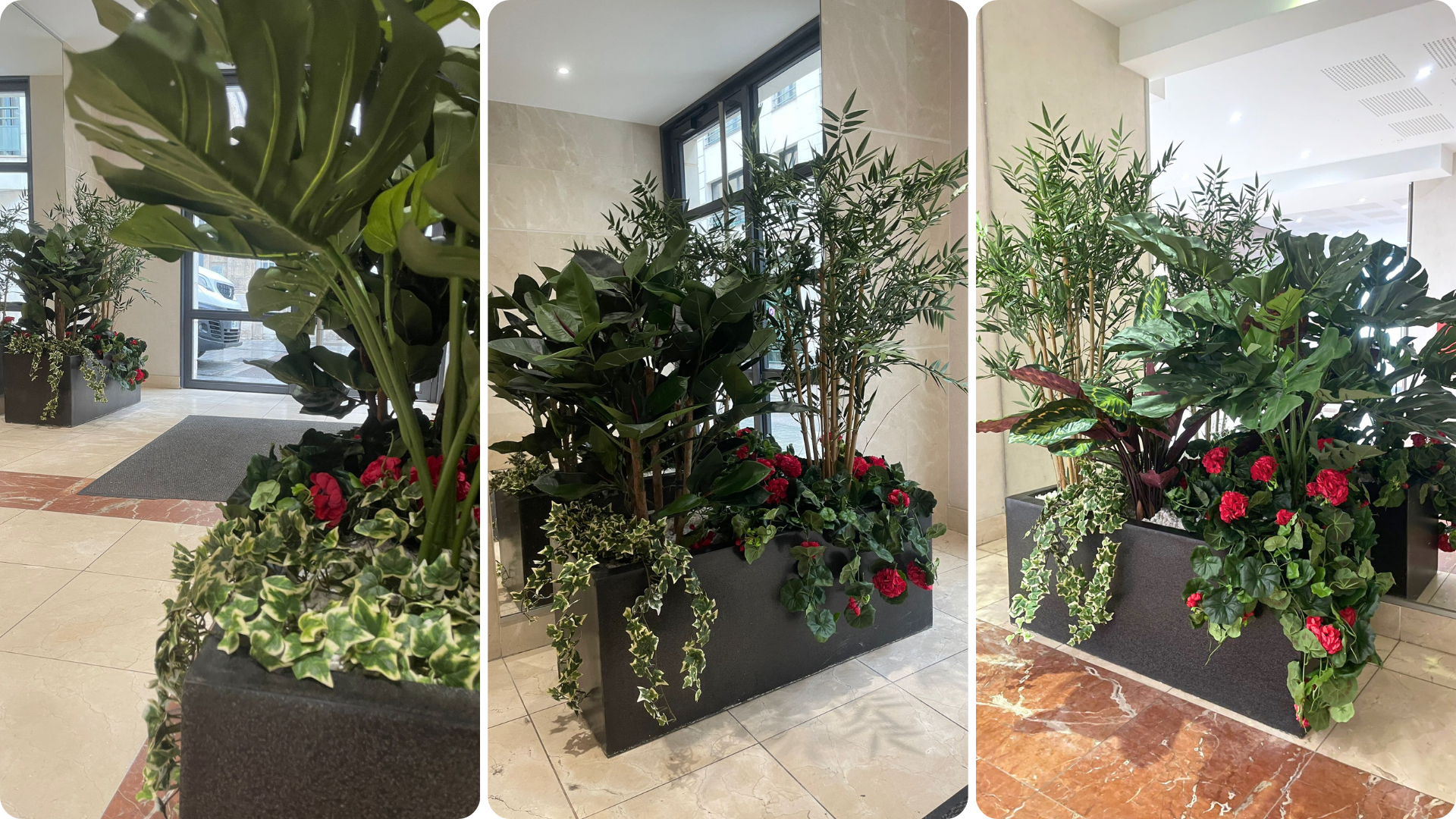 Aménagement végétal dans un hall de copropriété à Rouen