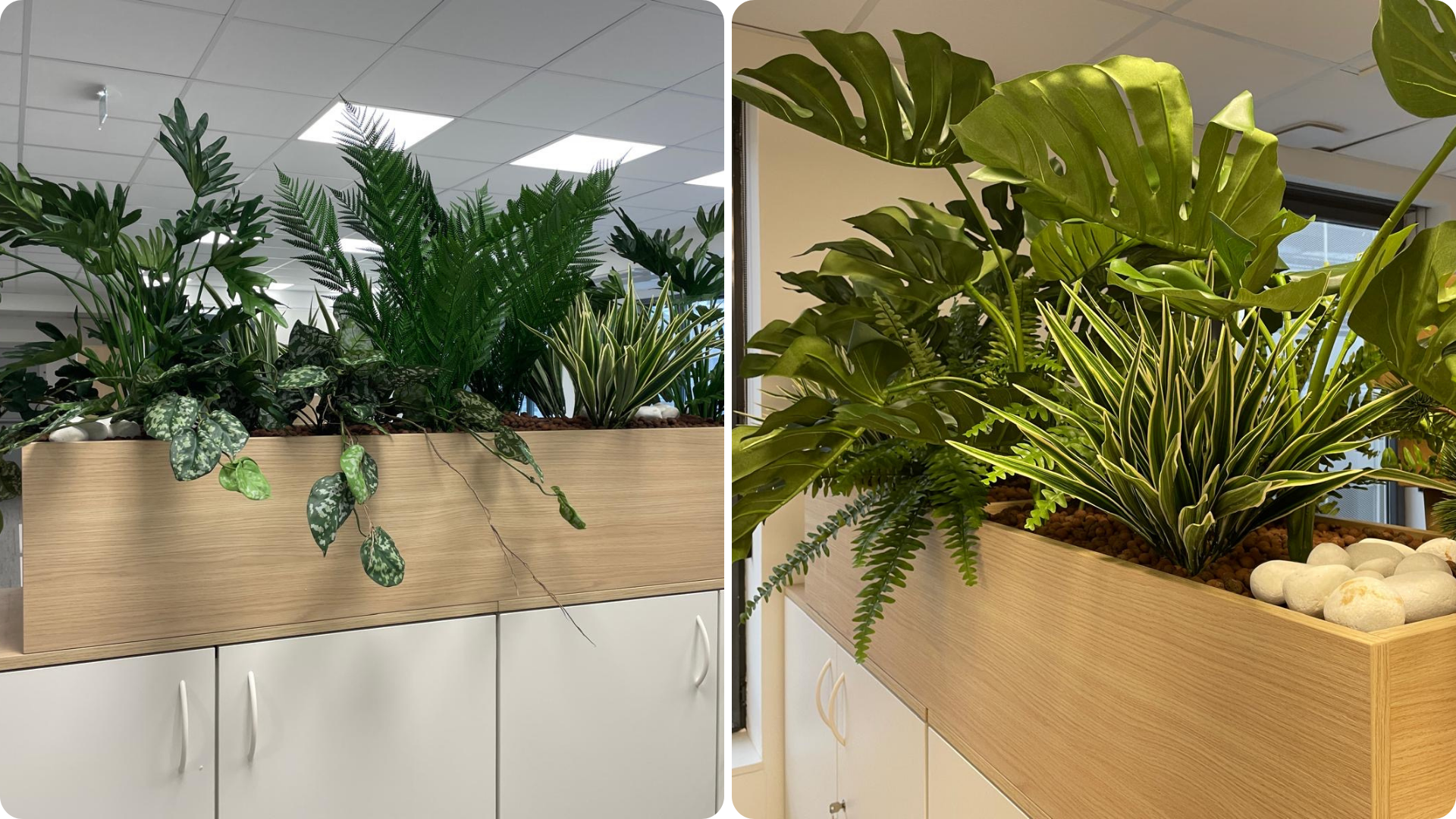 Installation de plantes artificielles sur armoires basses dans une entreprise à Lyon