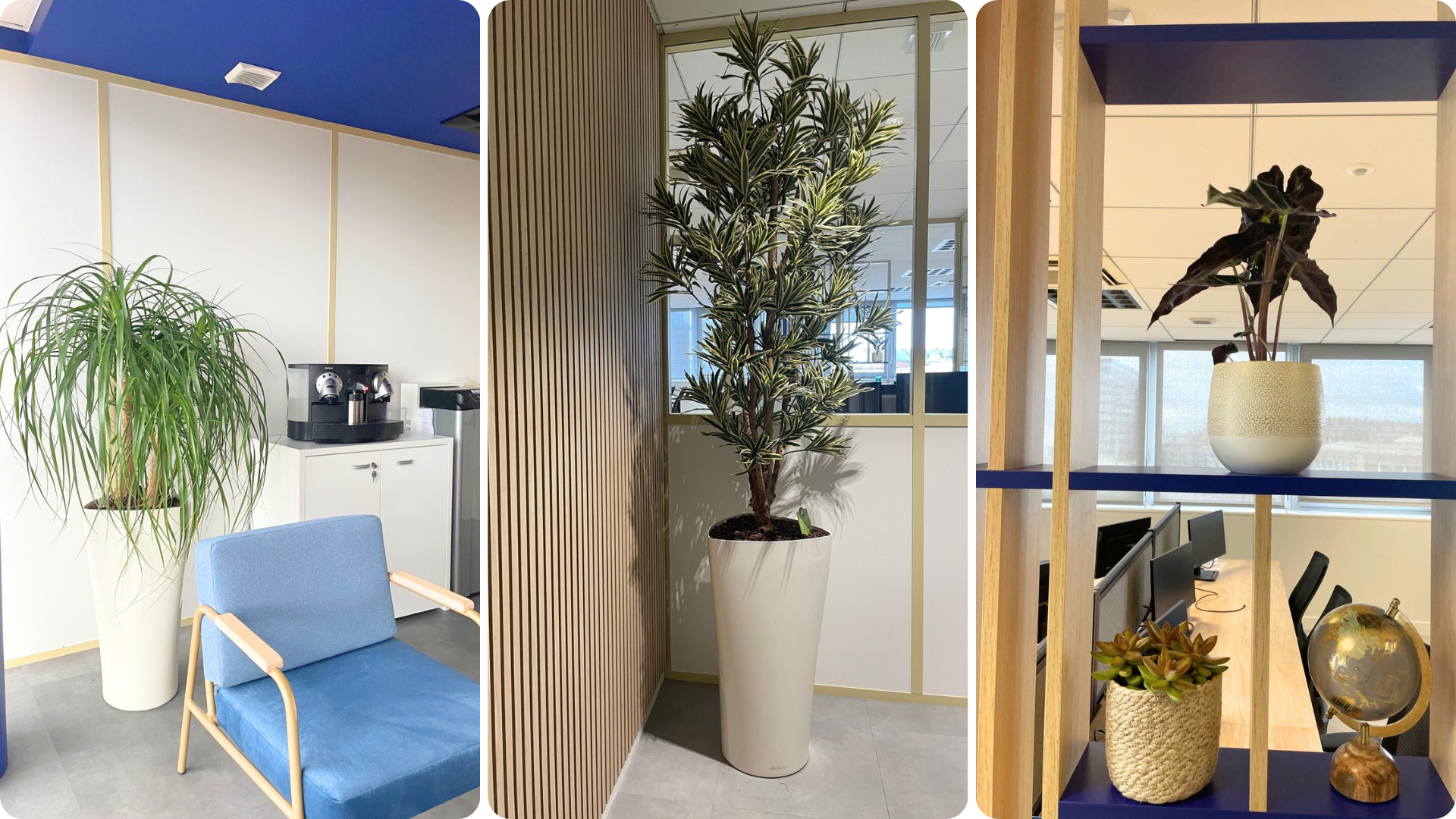 Installation de plantes naturelles au Havre – végétalisation d’espaces professionnels avec contrat d’entretien Biowork