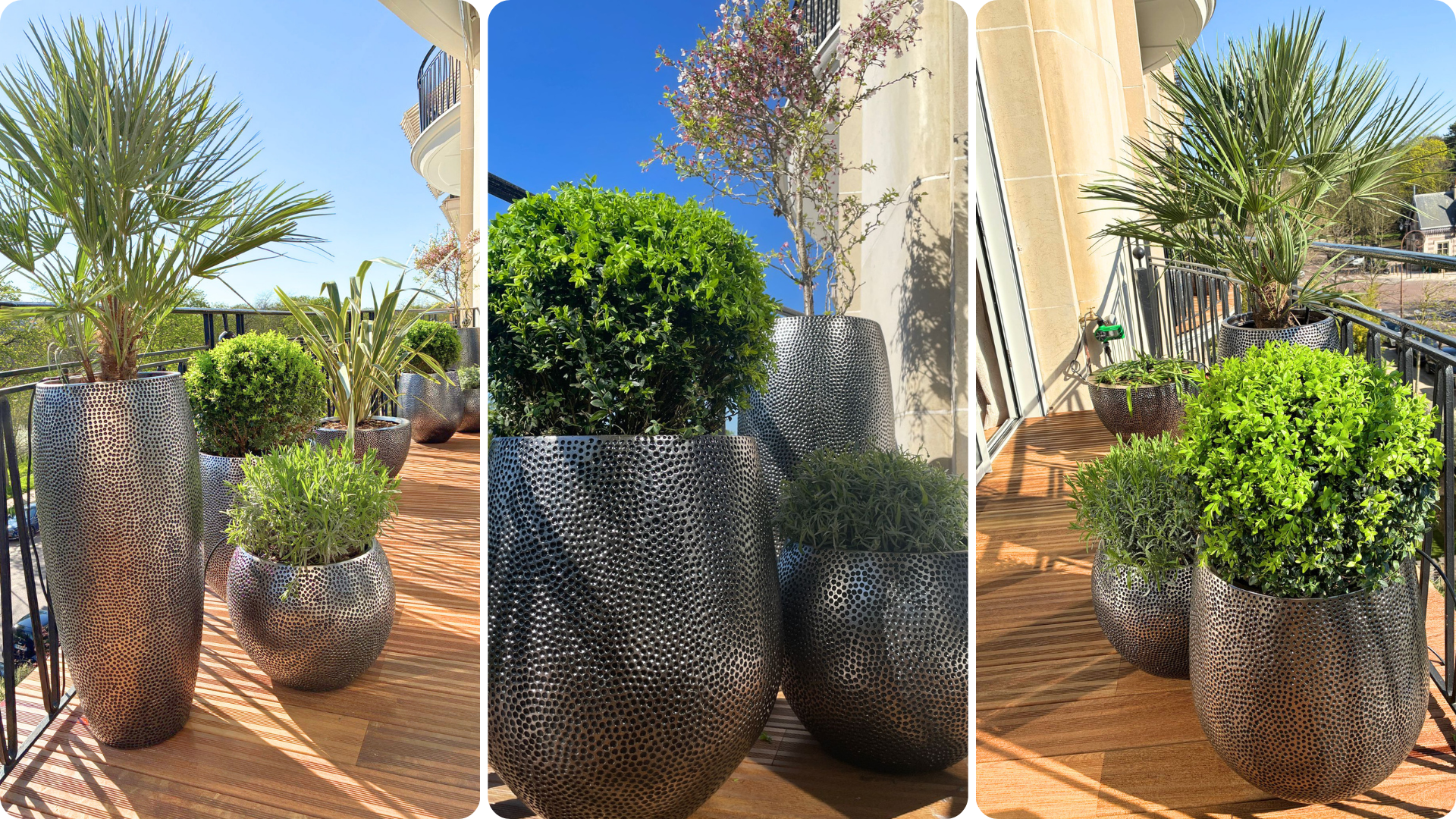 Terrasse urbaine transformée en espace verdoyant durable grâce à une végétalisation sur mesure Biowork