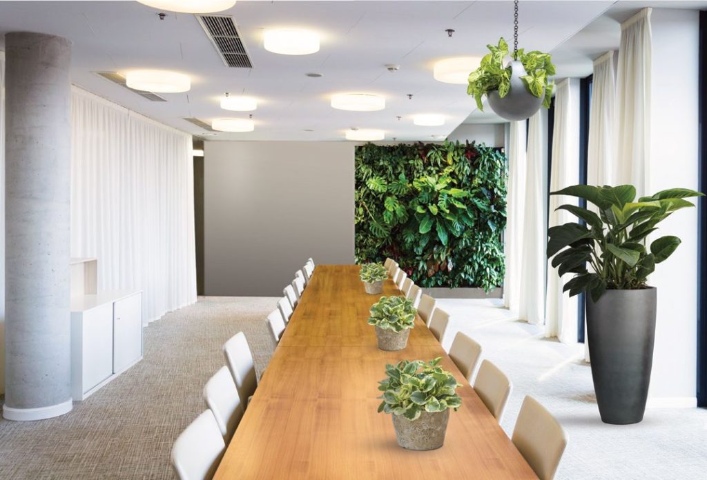 Aménagement d'une salle de réunion avec des plantes d'intérieur
