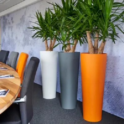 Plantes en pots colorés originaux en salle de réunion d'entreprise