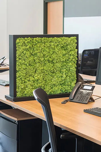 Tableau végétal pour séparation bureaux d'entreprise