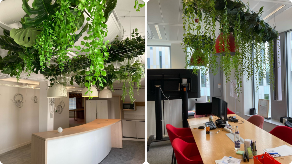 Cassandra Rupp Biowork Les cablofils végétalisés : une solution naturelle innovante - Biowork