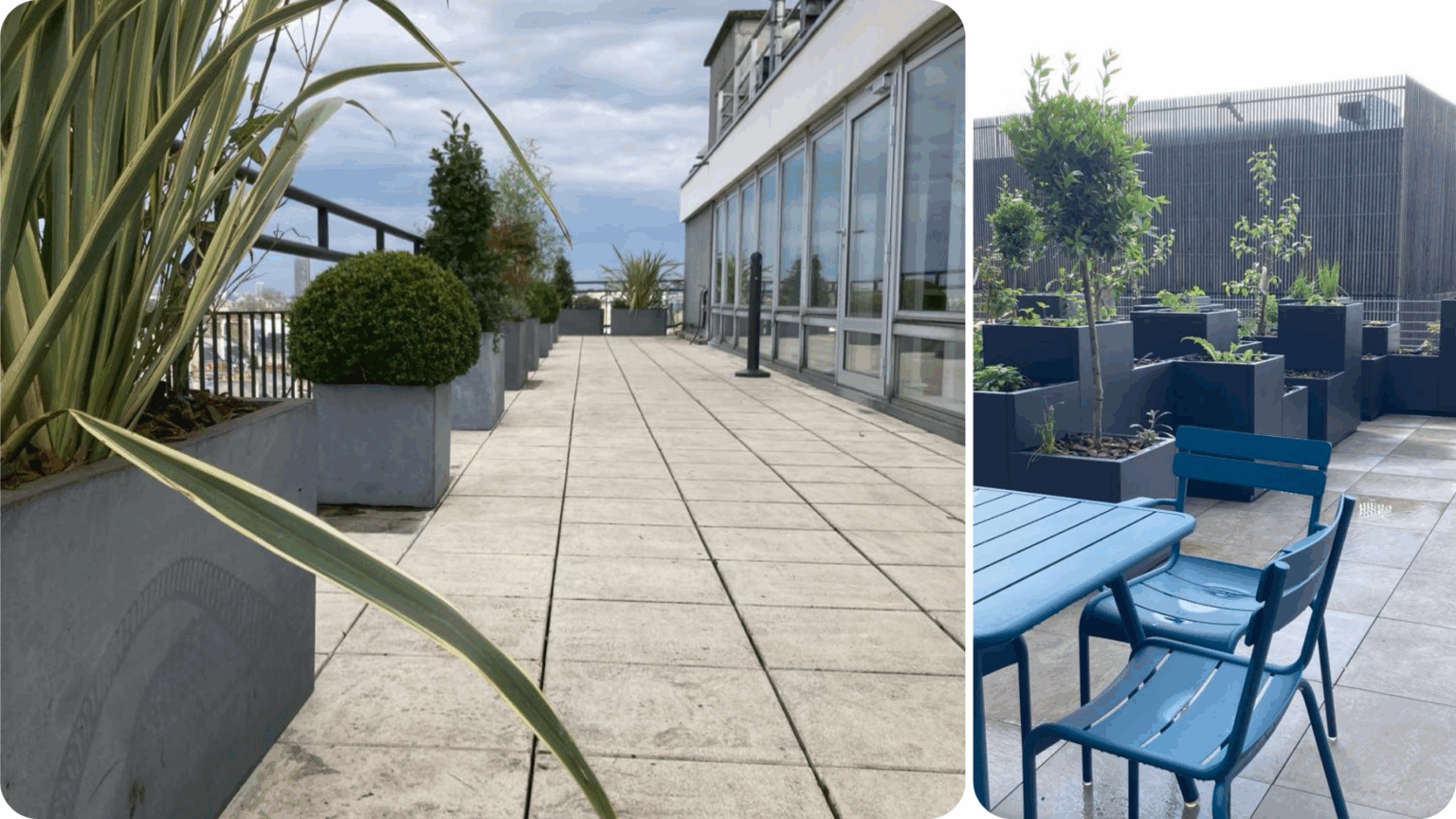 Location Plantes Naturelles Terrasse Entreprise