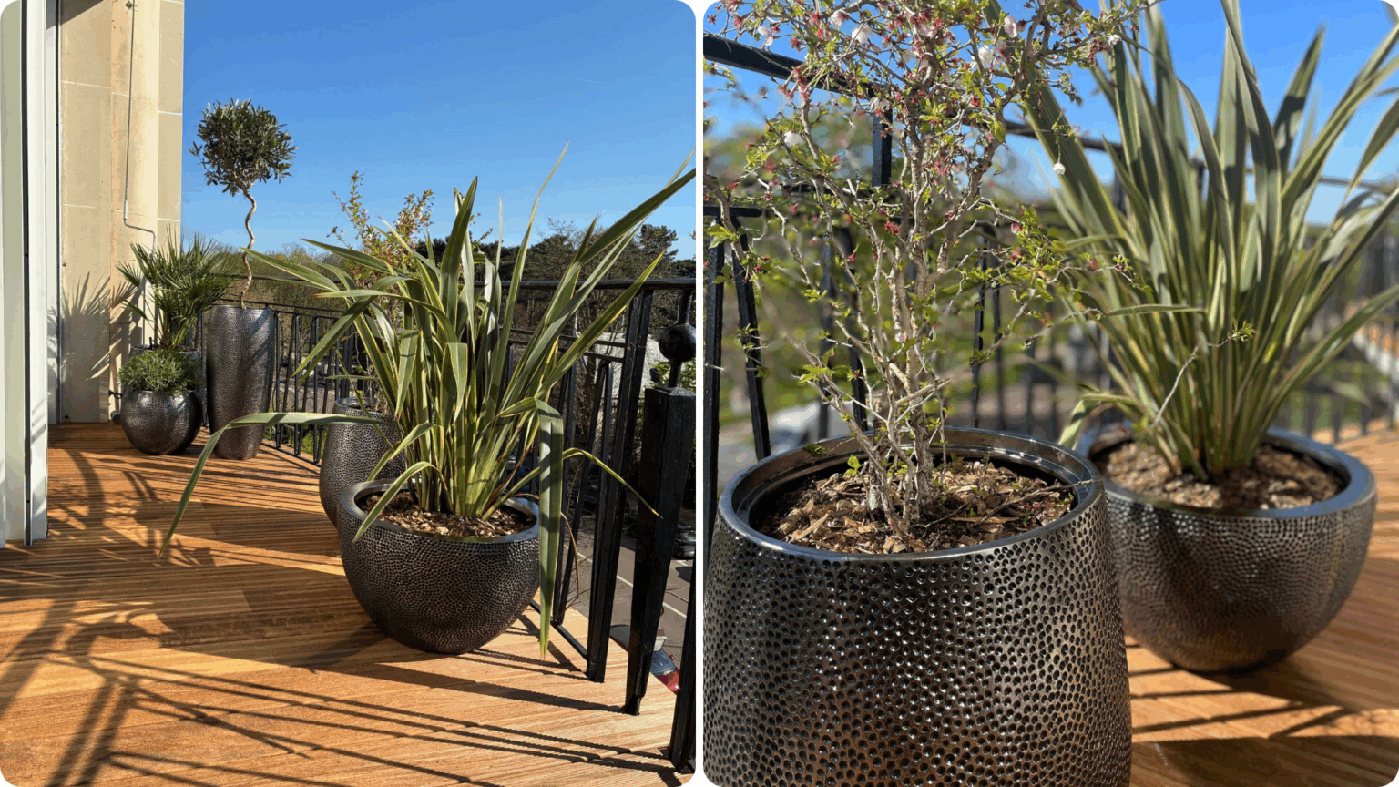 Aménagement d’un balcon parisien végétalisé avec plantes adaptées et arrosage automatique